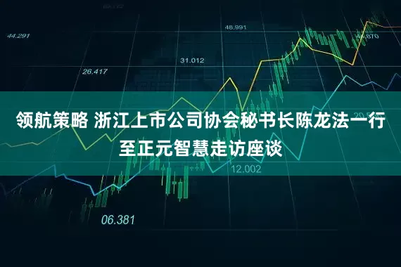 领航策略 浙江上市公司协会秘书长陈龙法一行至正元智慧走访座谈